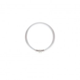 tubo-t5-circular-22w